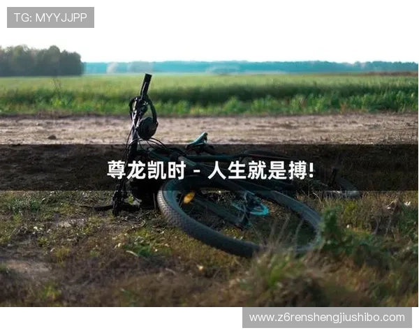 揭秘尊龙凯时娱乐官网入口背后的技术与运营模式